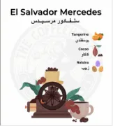 Picture of CoffeeHolics Salvador Mercedes 1KG